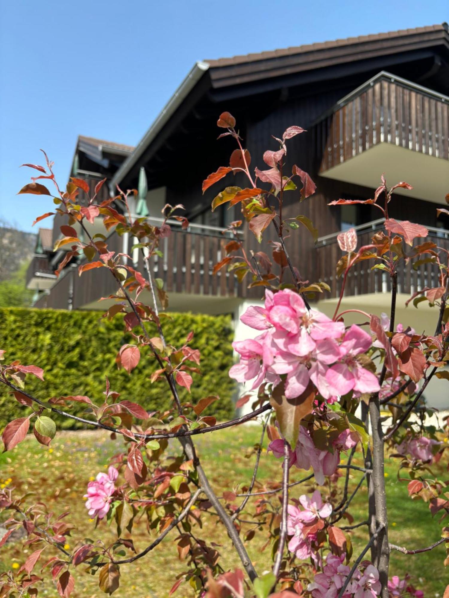 Bader Suites Garmisch-Partenkirchen Dış mekan fotoğraf